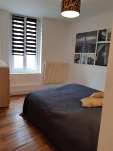 a bedroom with a bed and two windows at Cosy T2 38m2 - Centre-Ville Dijon- Gare/Darcy in Dijon