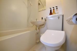 a bathroom with a white toilet and a sink at Hotel Resort Inn Ishigakijima in Ishigaki Island