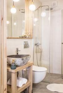 a bathroom with a sink and a toilet and a shower at Apartament Gorsky in Poronin