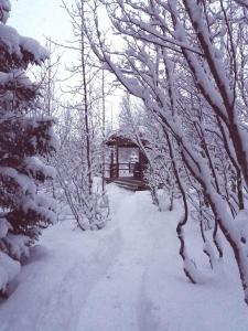 Bakkakot 1 - Cozy Cabins in the Woods tokom zime