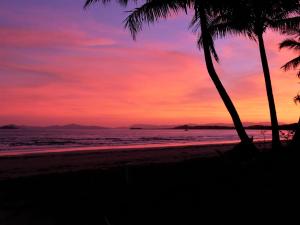 een zonsondergang op het strand met twee palmbomen bij Boutique Bungalows in Mission Beach