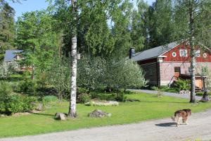 un perro caminando delante de un granero rojo en Nukula Guestrooms, en Oravasaari