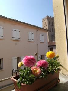 um vaso de flores sentado no parapeito da janela em Chez'Artistes em Argelès-sur-Mer