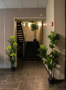 ルーガにあるHotel Globusの階段と鉢植えの廊下