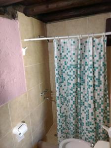 bagno con tenda per la doccia e servizi igienici di Ayres de Vistalba a Ciudad Lujan de Cuyo