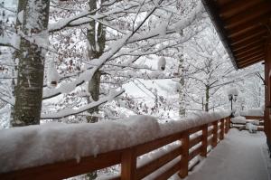 Hilltop Appartement v zime