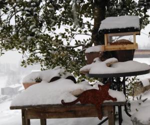 Mottnerhof during the winter