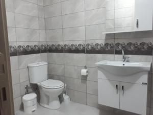 a bathroom with a white toilet and a sink at Moonlight Apart Otel in Erzincan