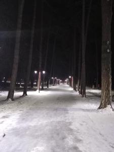 Planinska kuca Steki Bukulja v zimě