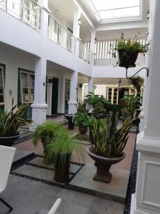 cortile con piante in vaso in un edificio di Rumah Jawa Guest House (Syariah) a Yogyakarta Altre 19 foto