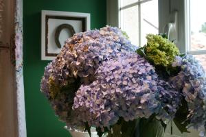 Galeriebild der Unterkunft CASA LEOPOLDO CAMINO DE SANTIAGO in Palas de Rei