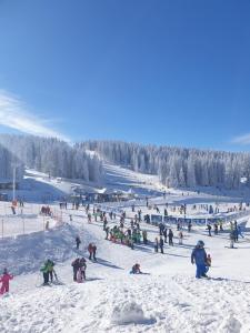 コパオニクにあるNeva Apartment Angella Konaciの大群スキー場