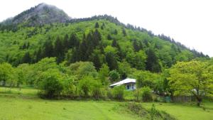 Gallery image of Laia's Guesthouse in Khashiti +24 photos