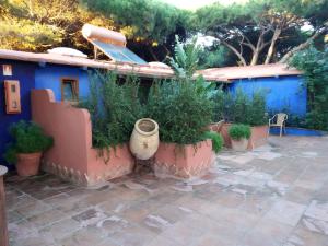 a patio with plants in front of a blue house at Beach Hotel Dos Mares in Tarifa