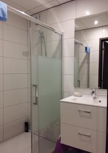 ein Bad mit einer Dusche, einem Waschbecken und einem Spiegel in der Unterkunft Gîte du Burkendal in Aumetz