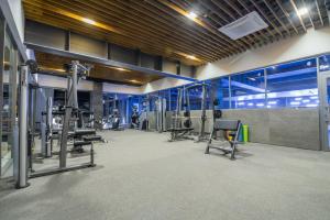 Palestra o centro fitness di F&B Spa Resort (ex. Fomich Hotel)