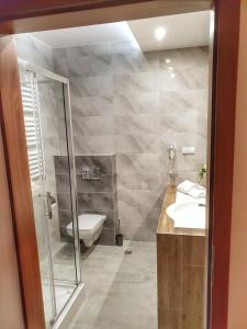 ein Bad mit einem WC, einem Waschbecken und einer Dusche in der Unterkunft Noclegi Portowa in Oppeln