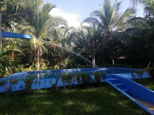 a swimming pool in a yard with palm trees at Villas Maria Luisa in Uvita