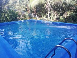 a swimming pool with blue water and palm trees at Villas Maria Luisa in Uvita