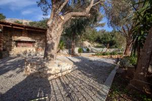 a tree in a stone wall next to a house at Argyros house in Triopetra