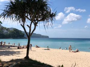 a group of people on a beach with a palm tree at Dinar Lodge in Bang Tao Beach