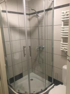 a shower with a glass door in a bathroom at Apartament Na Starówce VII in Pszczyna