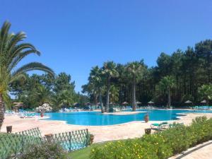 a large swimming pool with palm trees and chairs at Golf & Beach Apartment in Charneca