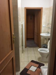 a bathroom with a toilet and a sink at Penzion Na Solné stezce in Kašperské Hory +128 photos