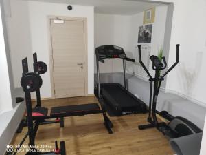 Posilňovňa alebo fitness centrum v ubytovaní Hotel Tarvisio Four Seasons