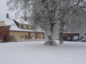 a snow covered yard with a house and a tree at Ferienwohnung Ostseewald in Rostock