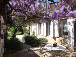 a tree with purple flowers hanging over a table at Chambres & Tables d'Hôtes L'Ostal de Pombonne in Bergerac