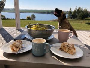 a dog looking at two plates of food and two cups of coffee at Dom nad jeziorem in Jeziorany