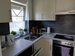 Kuchyň nebo kuchyňský kout v ubytování Villa Belair Schmidt