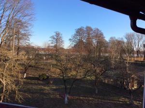 a view from a window of a park with trees at Apartamentai Rusnėje , Nemuno 13 in Rusnė