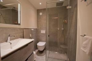 a bathroom with a shower and a sink and a toilet at La Villa Emeline - Apartment Emilie in Zermatt +19 photos