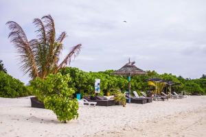 Příroda nedaleko hotelu