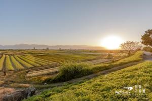 a field of crops with the sunset in the background at New Fox Guest House in Zhuangwei