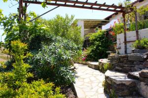 En hage utenfor Walnut Tree Farm