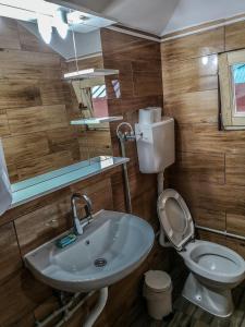 a bathroom with a sink and a toilet and a mirror at Bungalows Katun Maja Karanfil in Gusinje