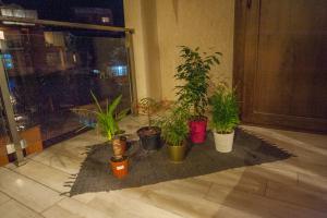 Zahrada ubytování Easy Hotel T'bilisi