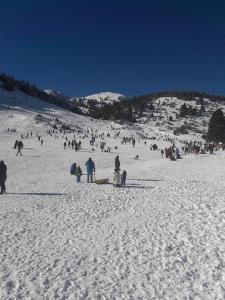 um grande grupo de pessoas em uma encosta coberta de neve em Xenonas Epavli em Levidi