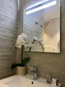 uma casa de banho com um lavatório com um espelho e uma flor em Les appartements d'Edmond Saint Suffren em Marselha