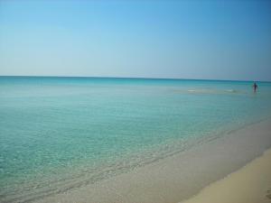 a person standing in the water on a beach at La Palude del Conte in Punta Prosciutto