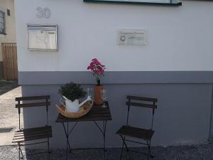 duas cadeiras e uma mesa com flores em Rosenappartement-Deutschkreutz em Deutschkreutz