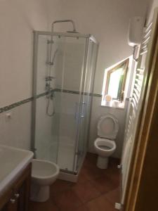 a bathroom with a shower and a toilet and a sink at La Sorgente Alta in Rocchetta a Volturno