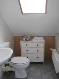 a bathroom with a white toilet and a sink at Haus Agricola - Ferienwohnungen in Altenau