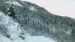 a snow covered mountain with trees and a road at Art Deco Bed & Breakfast in Dikorfo