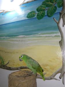 a green parrot standing on a tree stump near the beach at 1 à 3 chambres proche aéroport in Les Abymes