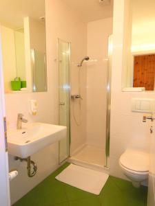 uma casa de banho com um chuveiro, um lavatório e um WC. em Landhaus Kügler-Eppich em Proleb