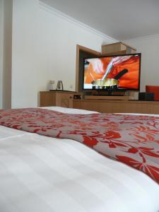TV a/nebo společenská místnost v ubytování Hotel Garni Rheinpracht